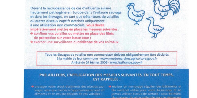 Renforcement des mesures de biosécurité pour lutter contre l’influenza aviaire dans les basses-cours